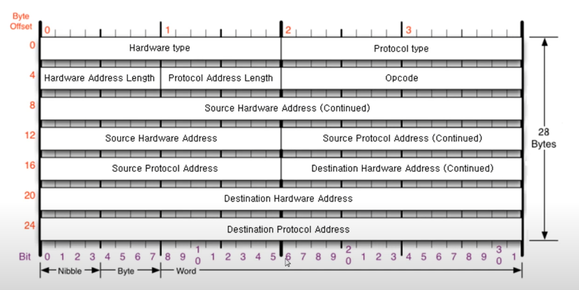 ARP Protocol 구성