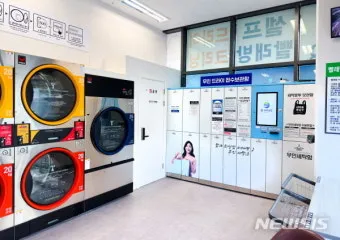 드라이클리닝 표기 확인 집에서 관리와 세탁망 활용법_6