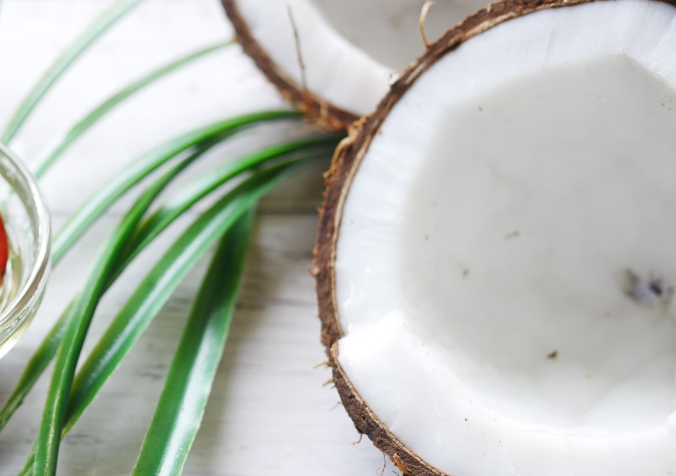 코코넛 오일 효능 : 면역력