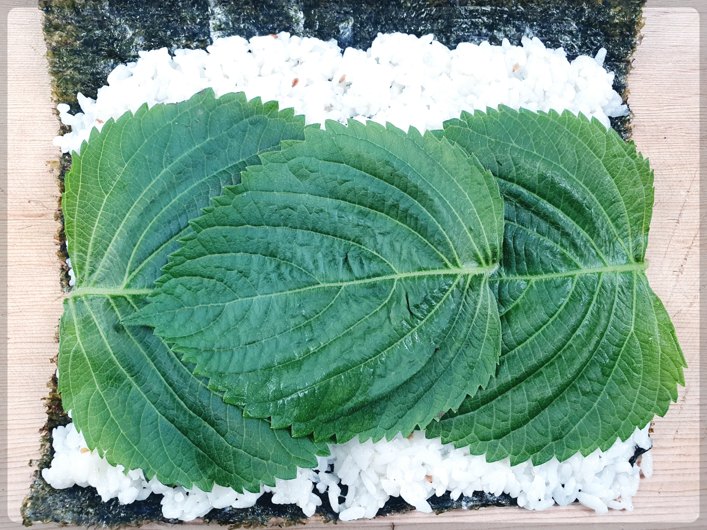 참치김밥맛있게 만드는 법