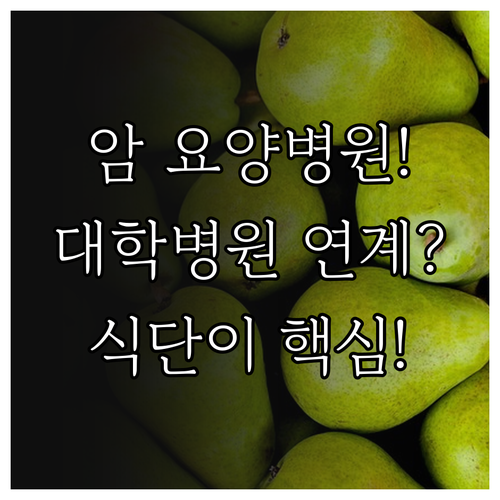 대학병원 연계 암 요양병원 선택 기준..