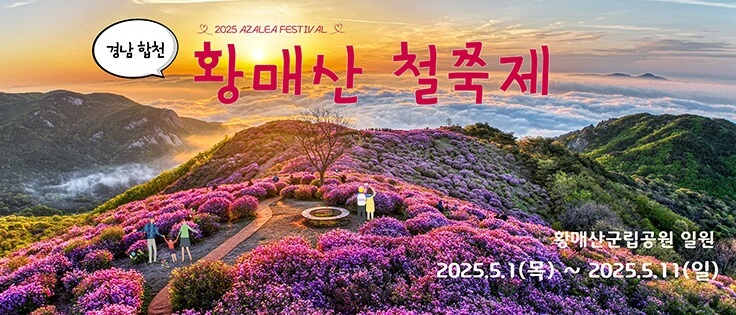 2025 합천 황매산 철쭉제 일정 총정리 및 철쭉 개화현황