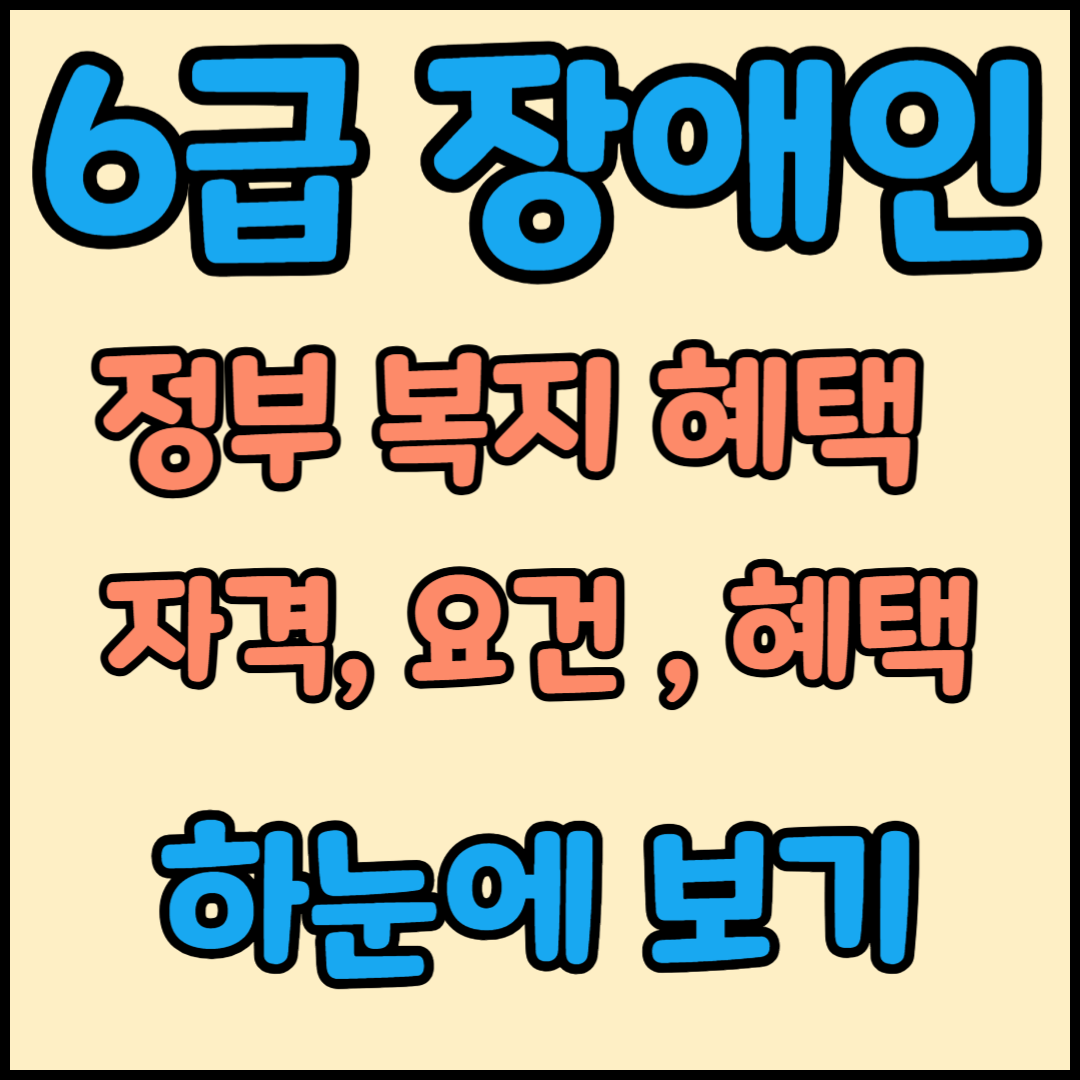 6급 장애인 혜택