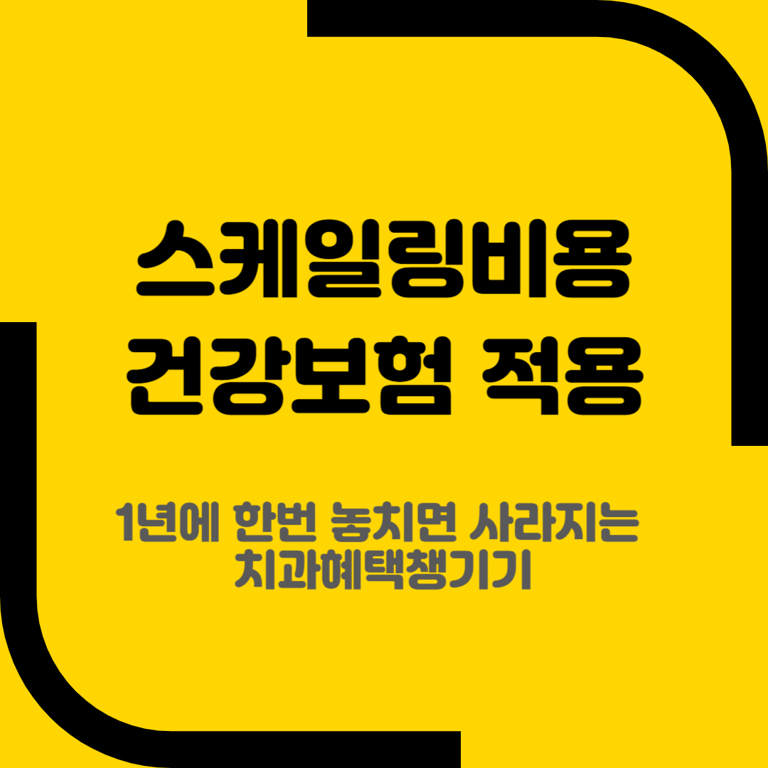 스케일링비용 건강보험 적용