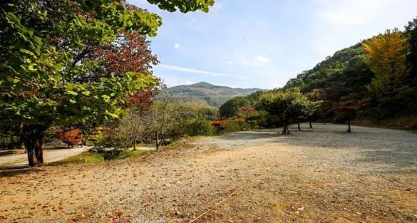 사계절오토캠핑장
