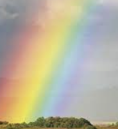 ISTP 유형 특징 분석