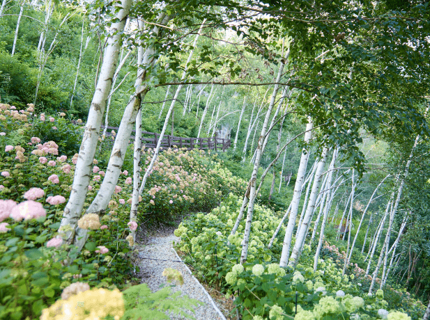정선 로미지안가든 입장료 예약방법