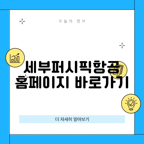 세부퍼시픽항공 홈페이지 바로가기