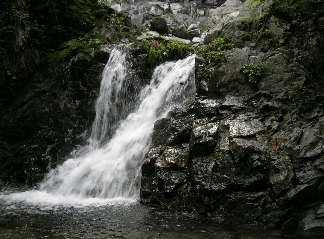 국립 미천골자연휴양림