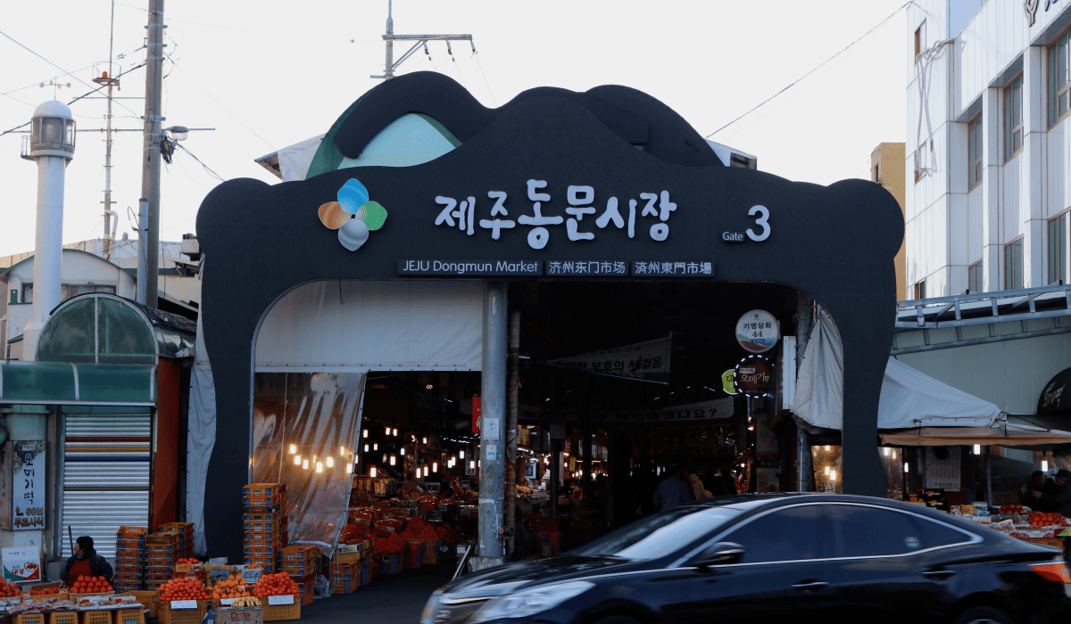 제주_렌트카_비교사이트_1