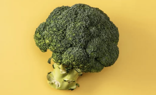 ⑦ 브로콜리(Broccoli)