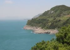 여수 금오도