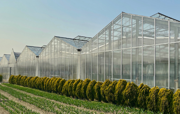 아산 세계꽃식물원