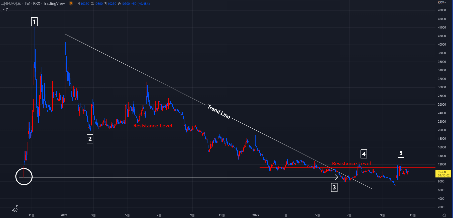 피플바이오 주식 2022-10-24 일봉차트