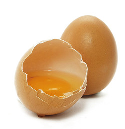 운동 후 먹으면 좋은 음식