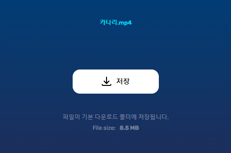 카리나 mp4
