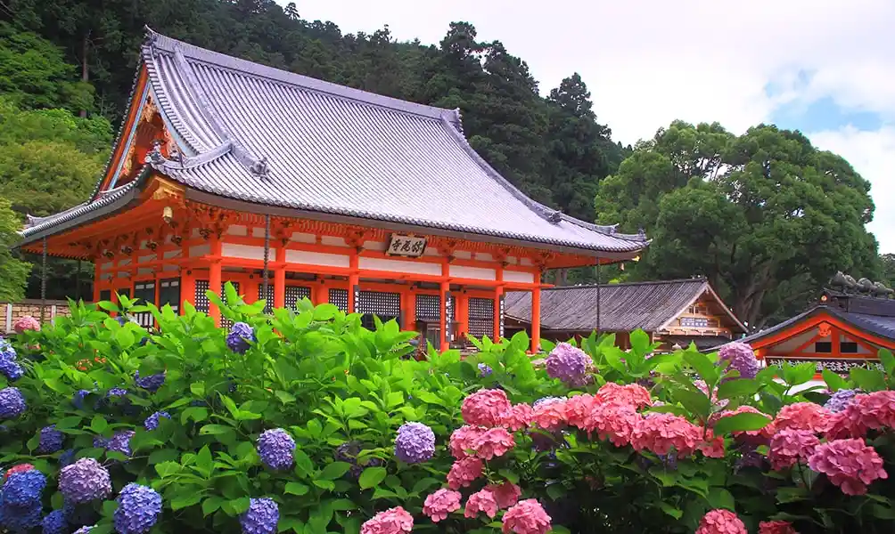 오사카 가쓰오지 (勝運の寺 勝尾寺)