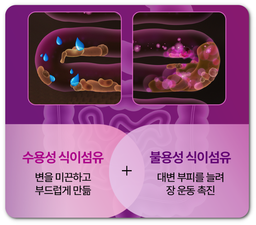 푸드올로지 차전자피올로지 효과