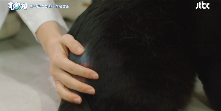 힙하게_1회