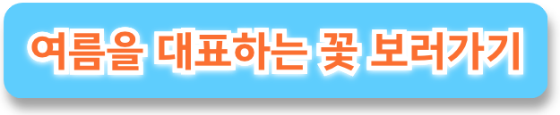 배롱나무
