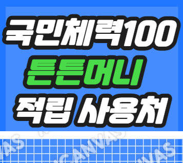 국민체력 100 튼튼머니 적립기준 사용처