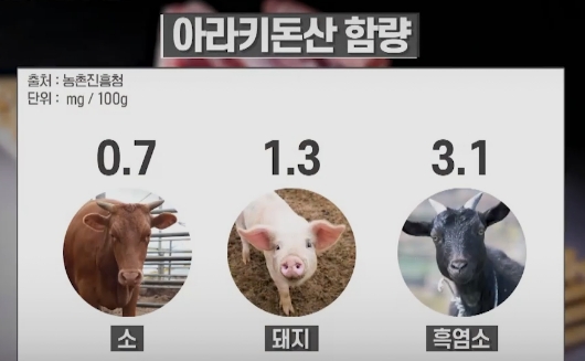 흑염소-아라키돈산-함량