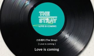 스트레이 밴드 소개