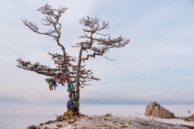 한국 무속의 역사와 기원