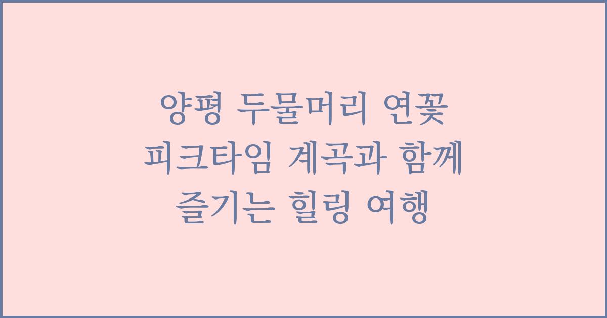 양평 두물머리 연꽃 피크타임! 계곡과 함께 즐기는 힐링 여행