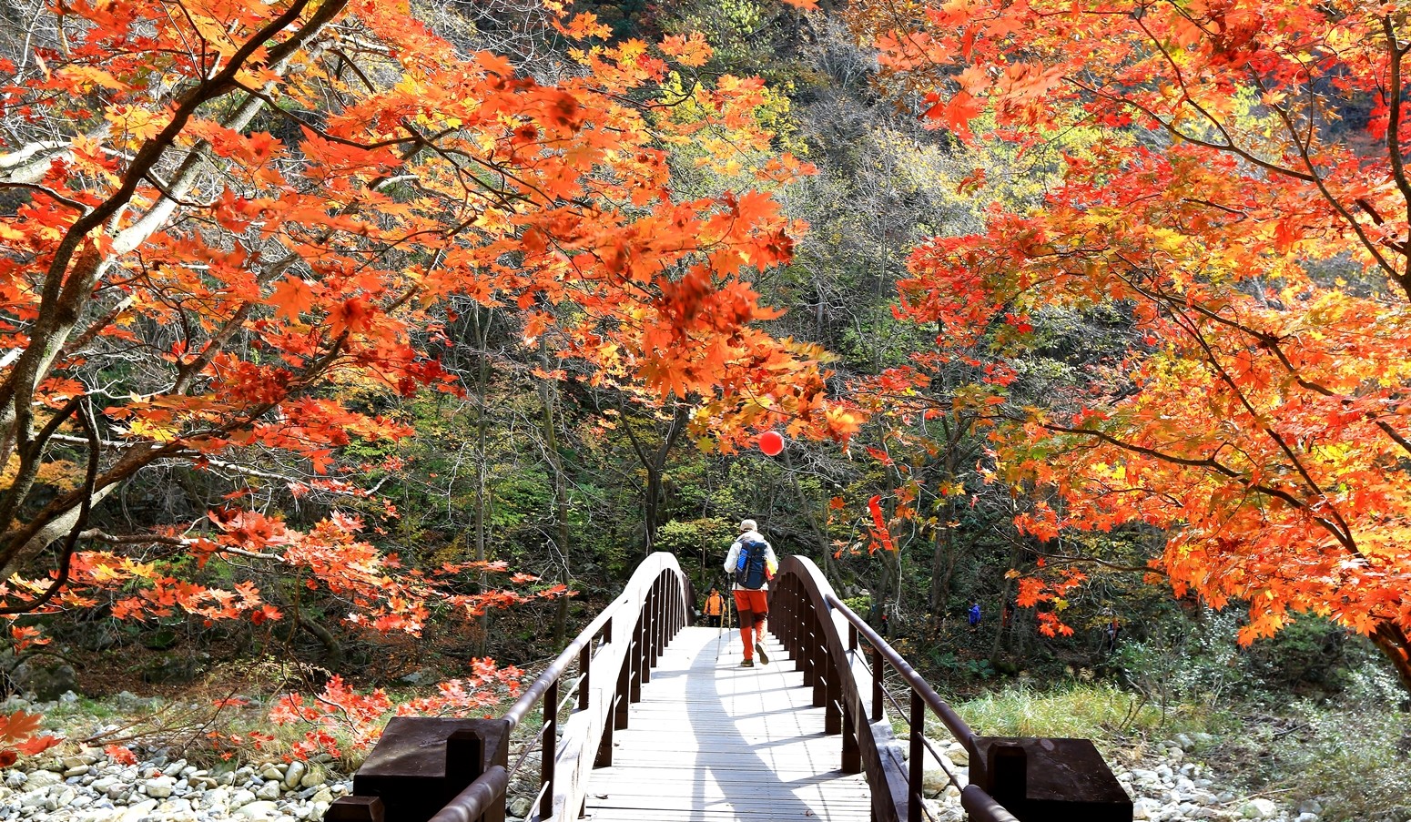 오대산 선재길