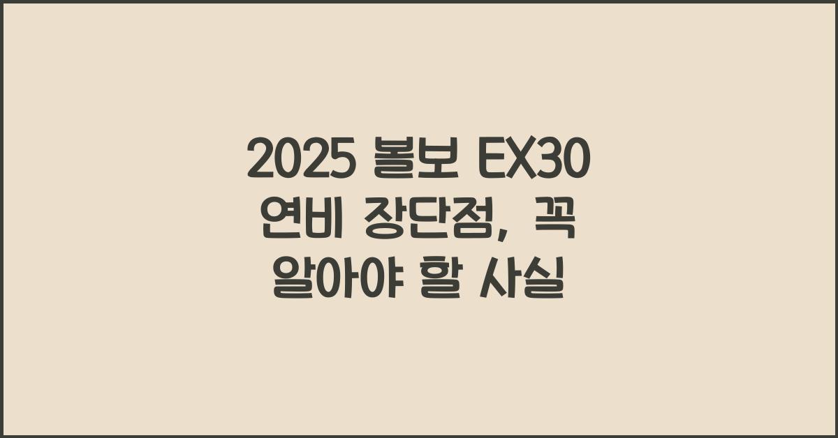 2025 볼보 EX30 연비 장단점