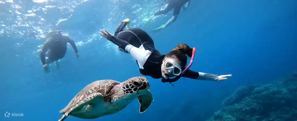 다낭 참섬 호핑투어 스노클링 디제잉 파티 한국인 가이드