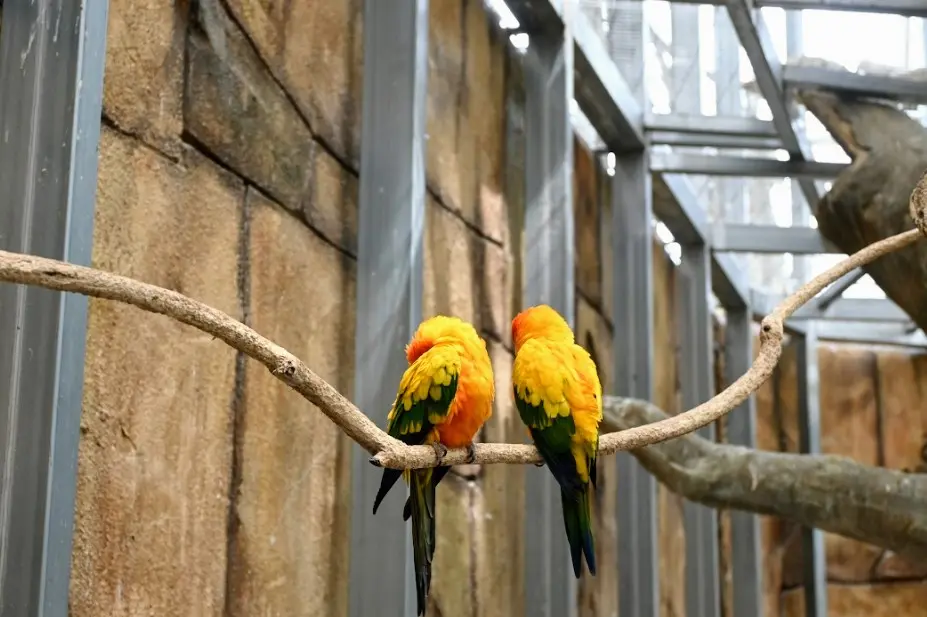 오산 버드파크 후기 사진21