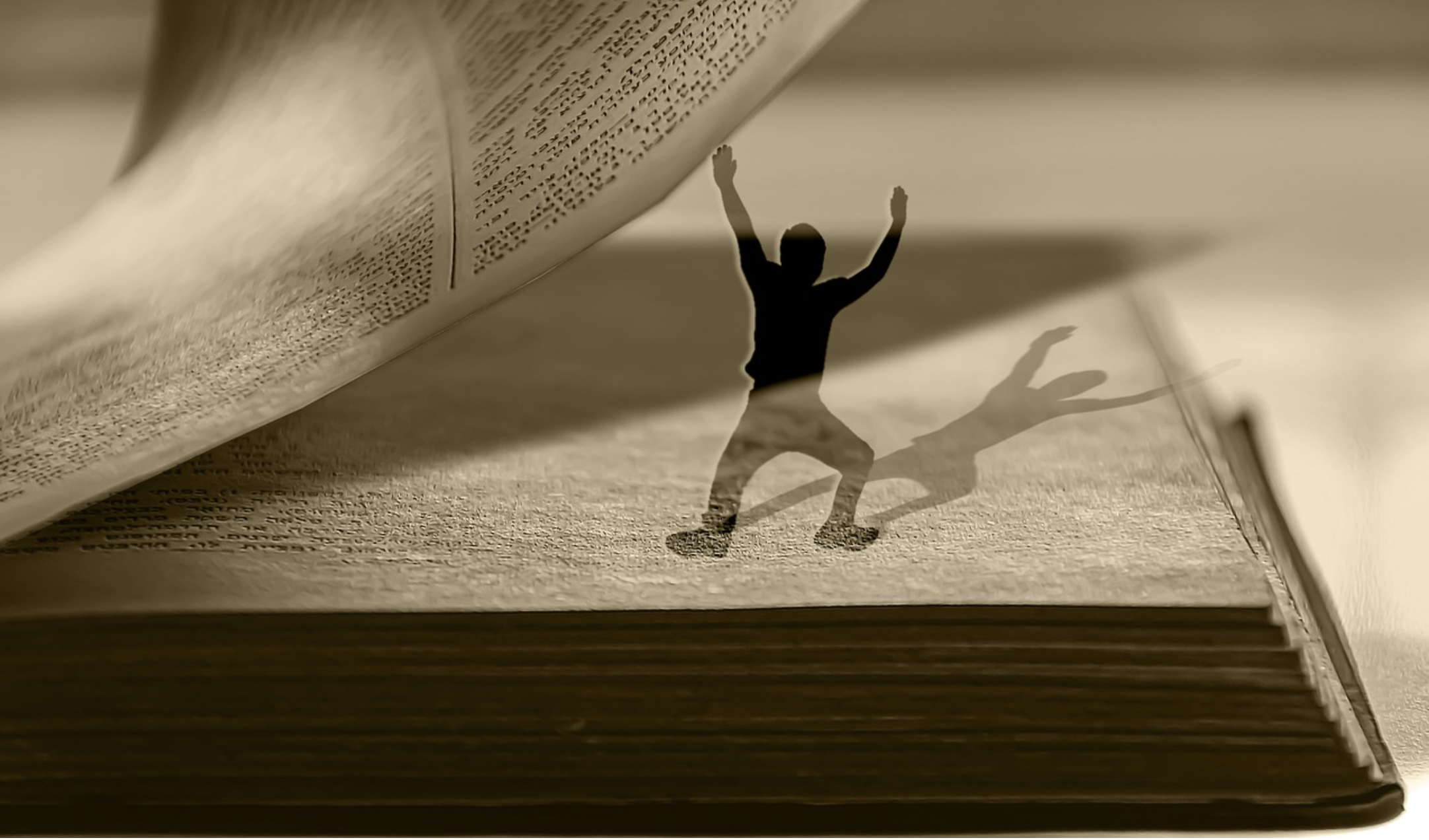 한국 스릴러 도서 사진