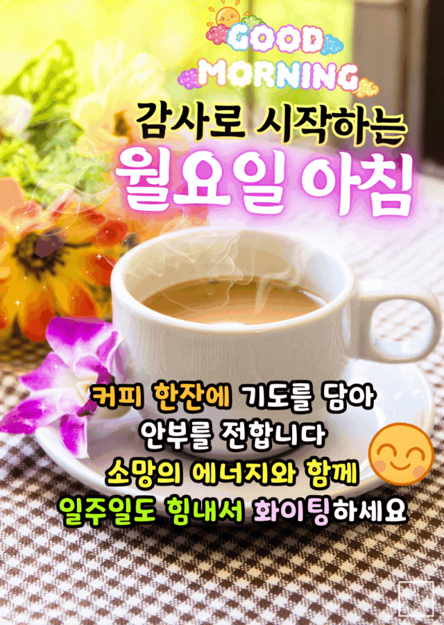 월요일 아침 커피잔과 꽃 장식 위에 감사와 응원을 전하는 글귀가 담긴 따뜻한 인사 이미지