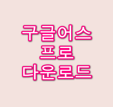 구글어스-프로