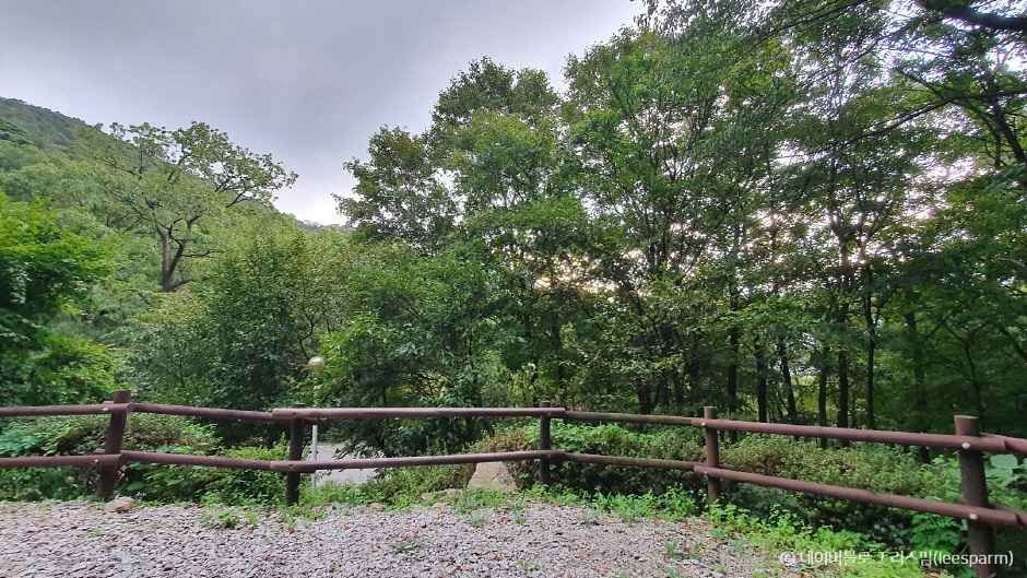 장성 가볼만한곳 베스트10