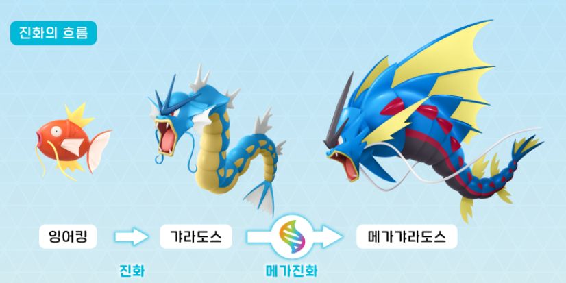 포켓몬 레전드 ZA 메가망나뇽