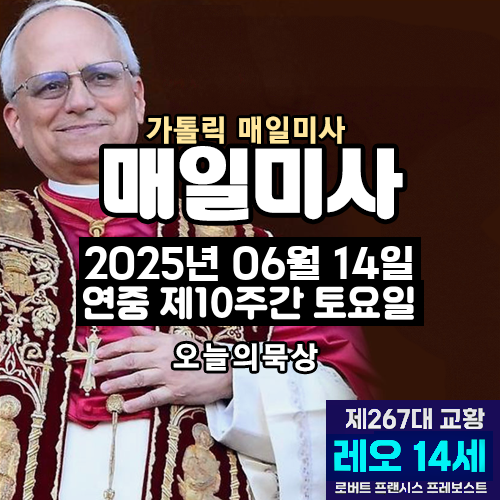2025년 6월 14일 매일미사 연중 제10주간 토요일 오늘의 묵상