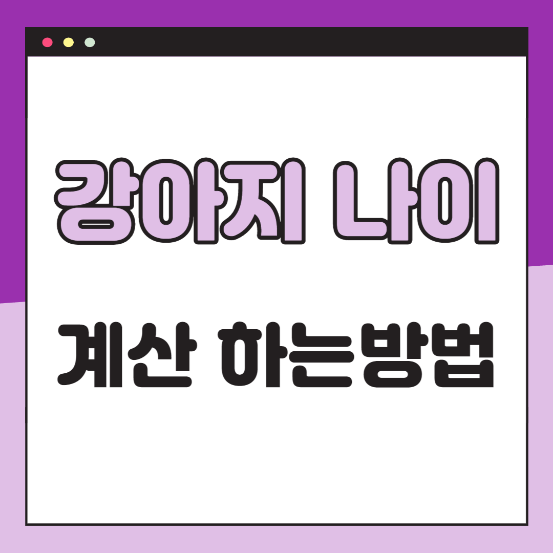 강아지 나이 계산법 알아보기