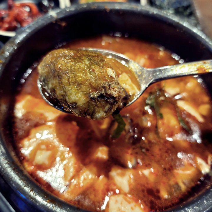 미더덕