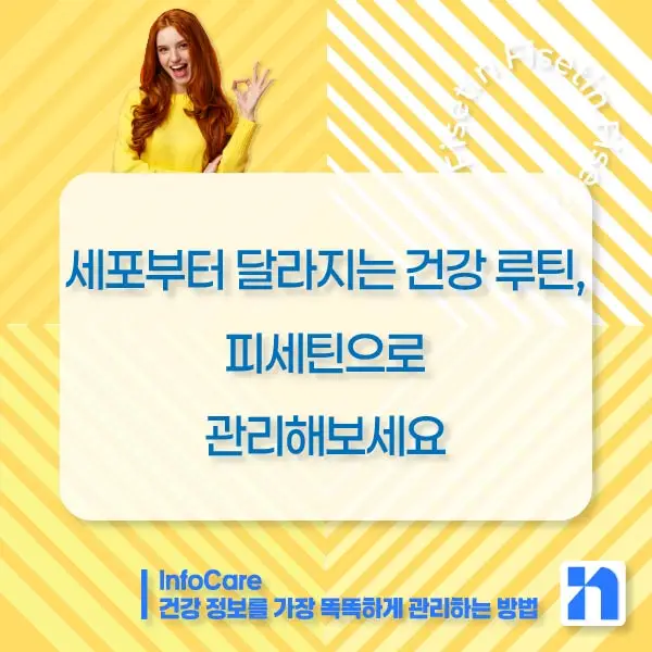 피세틴 부작용 복용법