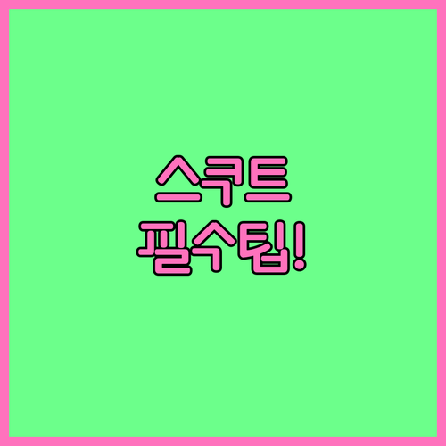 인천공항 스쿠트 항공 탑승 전 꼭 알..