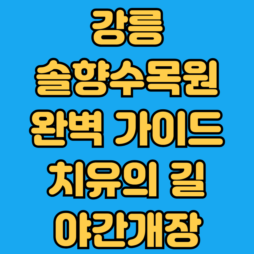 강릉 솔향수목원 완벽가이드 치유의 길 야간개장