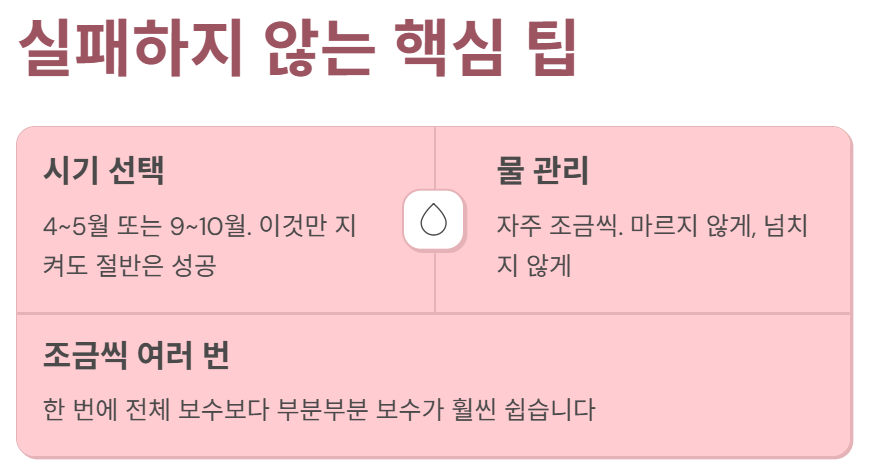 조금씩 여러 번