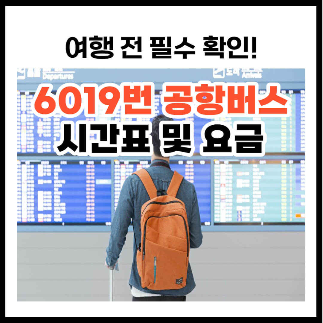 6019 공항버스 시간표 요금 및 이용방법