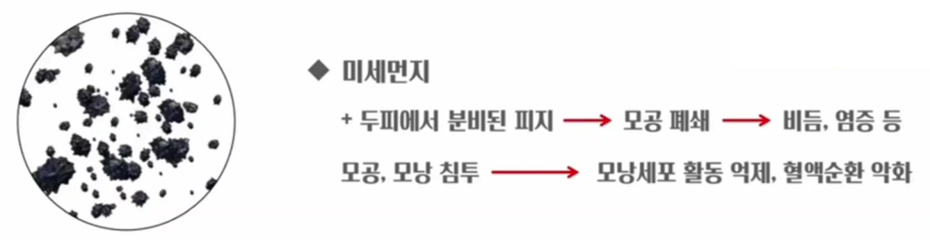 탈모두피