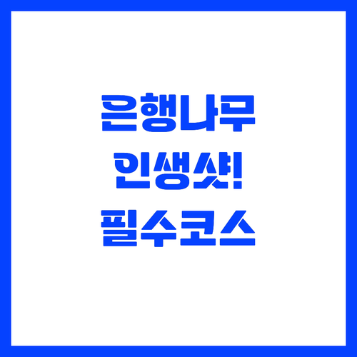 황금빛 은행나무길과 단풍이 어우러진 ..