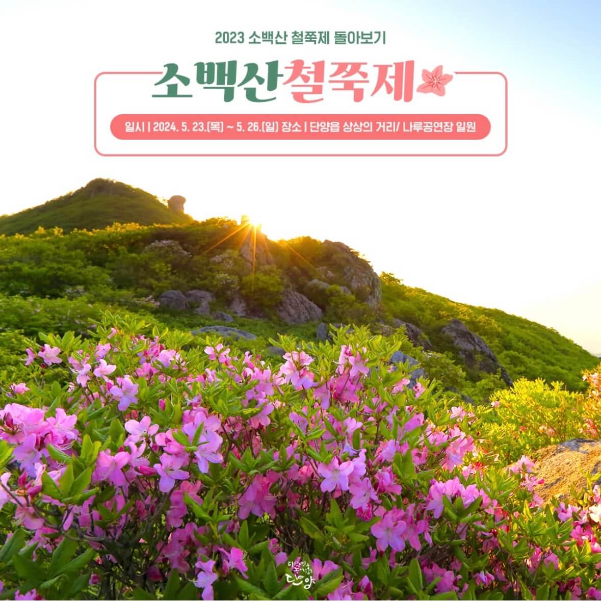 소백산 철쭉축제