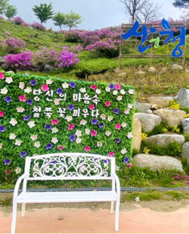 황매산철쭉축제